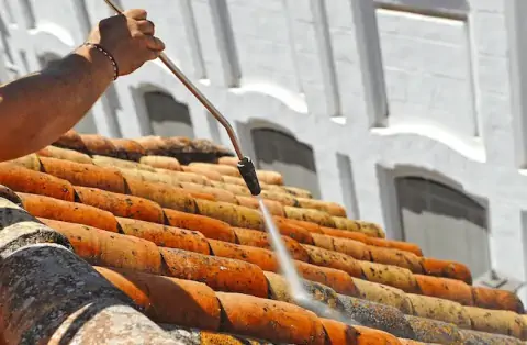 Démoussage de toiture à Boussay